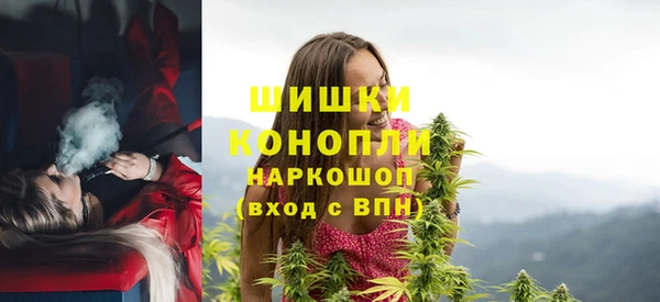 дживик Мегион