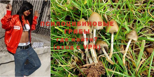таблы Медногорск