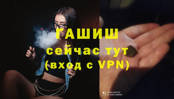 дживик Мегион