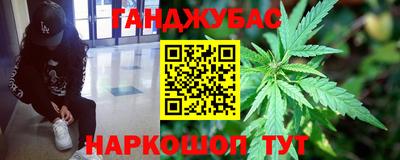 прущие грибы Ирбит