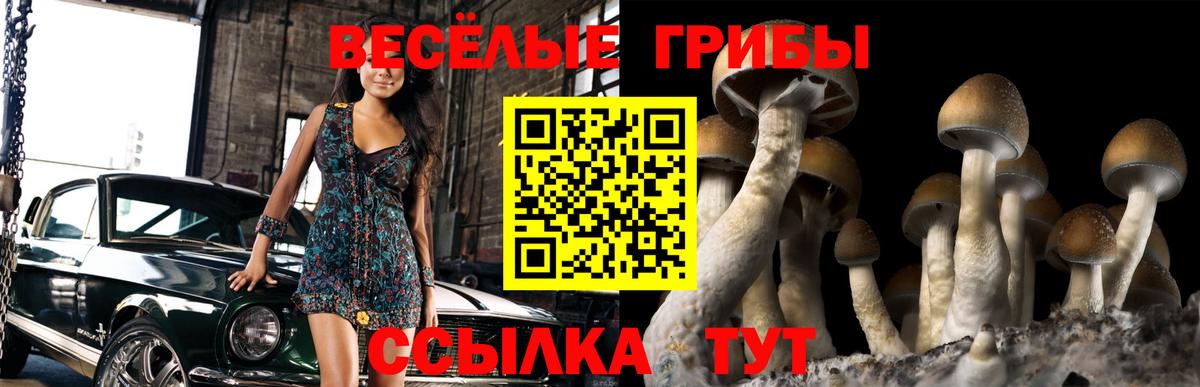 Галлюциногенные грибы мухоморы  Галлюциногенные грибы прущие грибы  Тюмень 