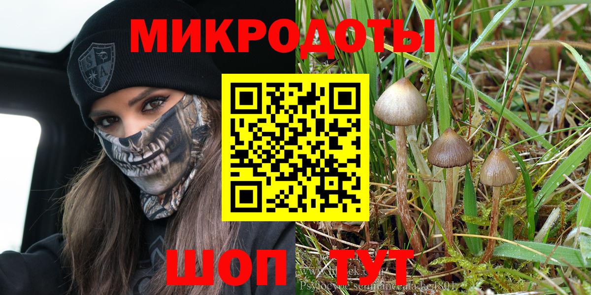 Галлюциногенные грибы Cubensis  Вход с VPN  Тюмень 