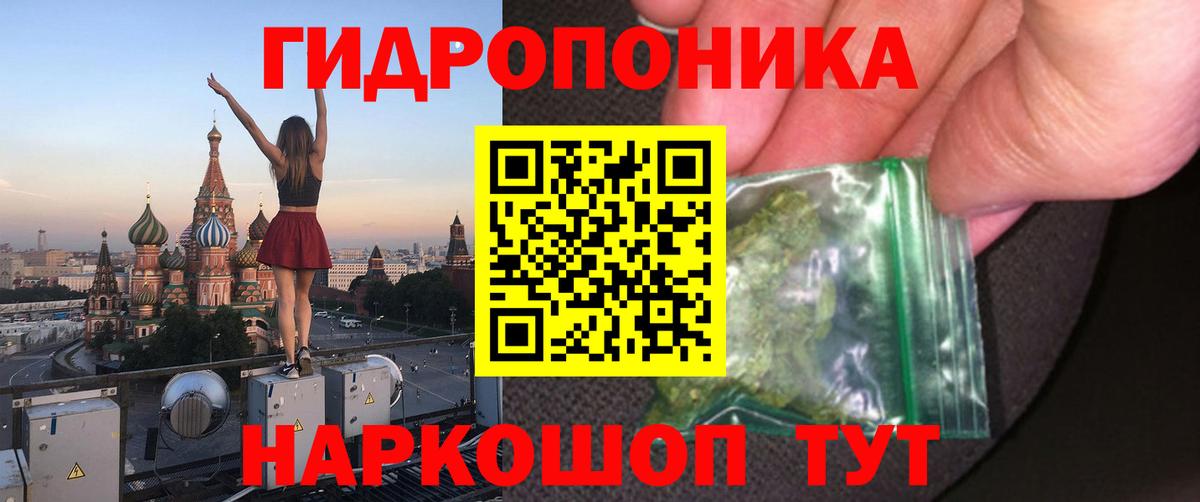 Каннабис план Тюмень